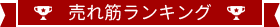 売れ筋ランキング